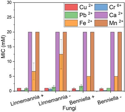 Effect of Endosymbiotic Bacteria on Fungal Resistance Toward Heavy Metals